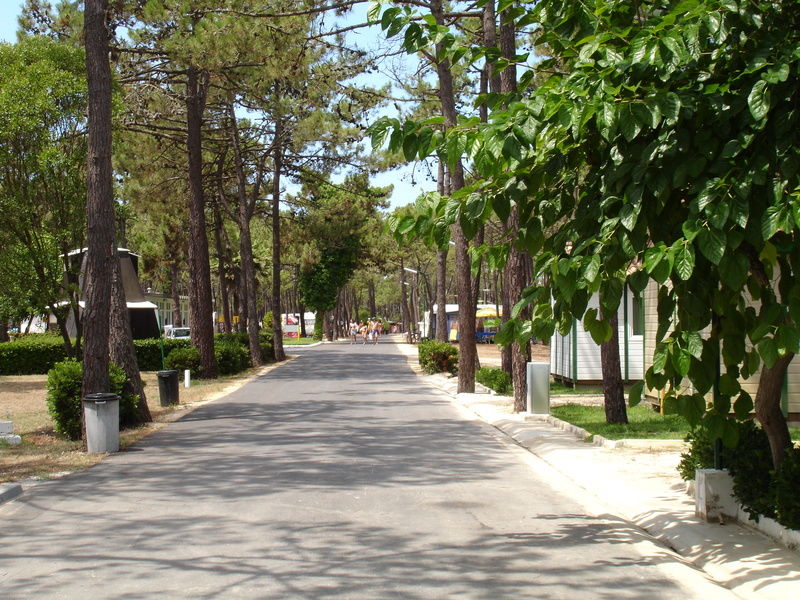 Parque De Campismo Orbitur Gala Hotel Figueira da Foz Exterior photo